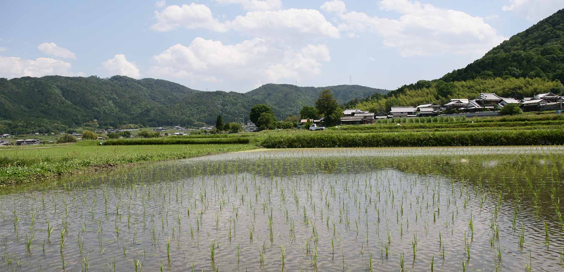 日本古来の味を受け継ぐ、保津川あられ